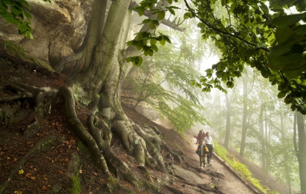 100 km hiken, de Duits-Tsjechische natuur in