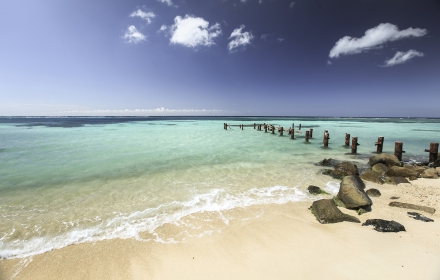 Aruba, meer dan een zalige strandbestemming