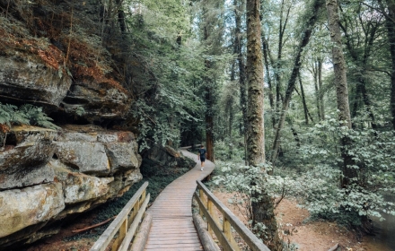 De 5 mooiste trails van Luxemburg