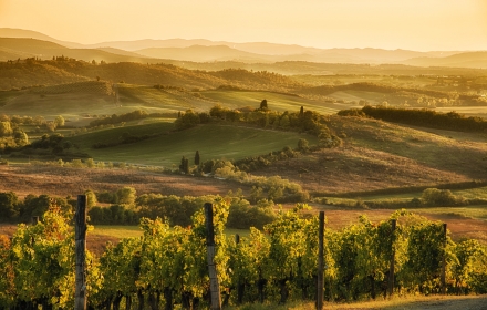 Dit zijn de 10 beste regio's in Europa voor wijnliefhebbers