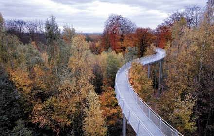 Gluren bij de buren: 8X natuur net over de grens