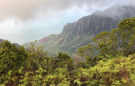 Hawaï: een trip naar het paradijs