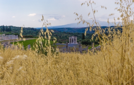 In het spoor van de Mol: Kalamata en Messene