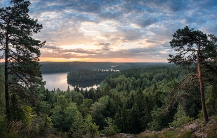 Op safari door Europa: maak kennis met de 'Big Five'