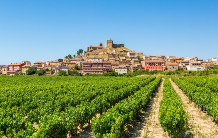 Perfect weekje weg voor de wijnliefhebber: Rioja met de fiets