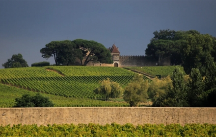 Wijntriptip: Sauternes, een ​​van de meest magische wijnstreken rond Bordeaux