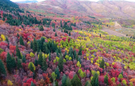 Zo mooi zijn de herfstkleuren in Utah