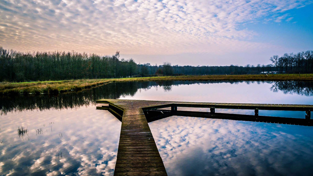 Brugse Ommeland