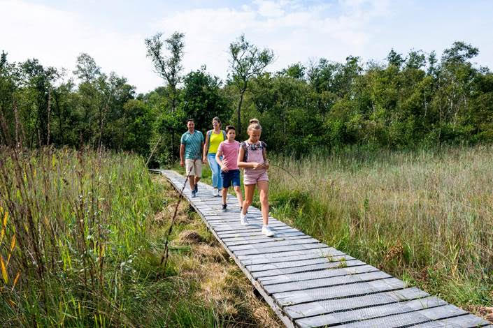 Wandelnetwerk Kempens Landgoed